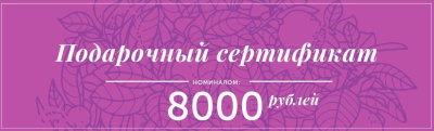 ПОДАРОЧНЫЙ СЕРТИФИКАТ 8000